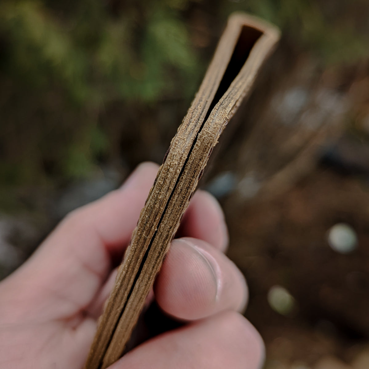 Minimalist Bi-Fold - Walnut